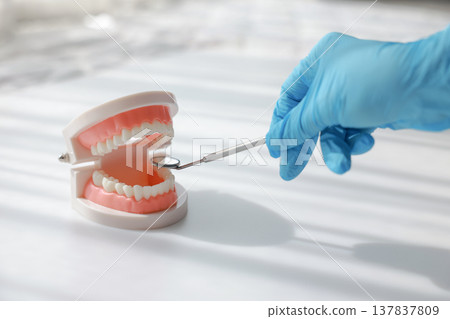 Dentist hand in blue glove holding dental mirror with tooth model on white background. Professional oral health care, hygiene, stomatology examination, dentistry treatment and medical insurance. Dentist hand in blue glove holding dental mirror with tooth model on white background. Professional oral health care, hygiene, stomatology examination, dentistry treatment and medical insurance. 137837809
