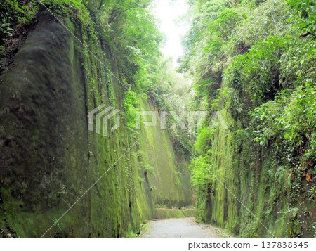 岩隈山隘:苔蘚覆蓋的懸崖(熊本縣山賀市) 岩隈山隘:苔蘚覆蓋的懸崖(熊本縣山賀市) 137838345