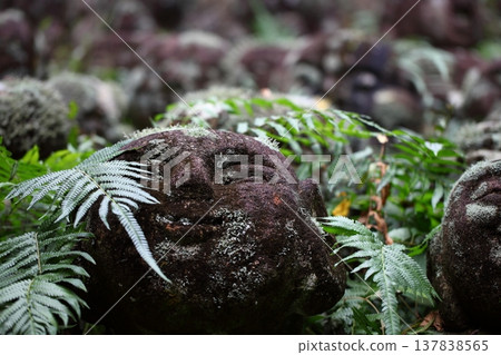 Fern leaves and stone Buddha Fern leaves and stone Buddha 137838565