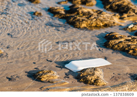 Plastic food container pollution on sandy beach with rocks and shallow water environmental problem 137838609