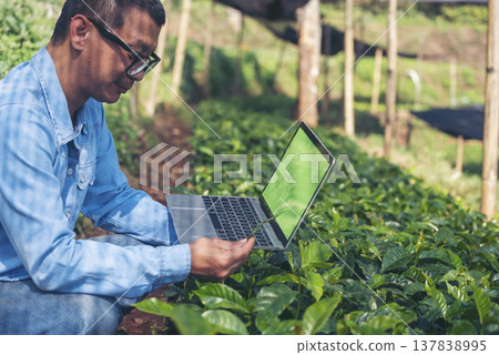 Smart farmer hands using laptop eco green farm sustainable quality control. Close up Hand typing laptop computer quality control plant tree. Farmer use technology checking eco Farmland biotechnology 137838995