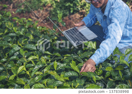 Smart farmer using laptop in eco green farm sustainable quality control. Close up Hand typing laptop computer quality control plant tree. Farmer hands using technology in eco Farmland biotechnology 137838998