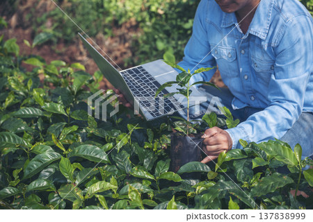 Smart farmer using laptop in eco green farm sustainable quality control. Close up Hand typing laptop computer quality control plant tree. Farmer hands using technology in eco Farmland biotechnology 137838999
