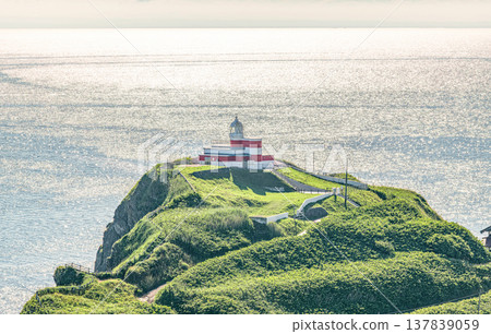 Hiyoriyama Lighthouse, illuminated by the sparkling sea, Otaru City, Hokkaido 137839059