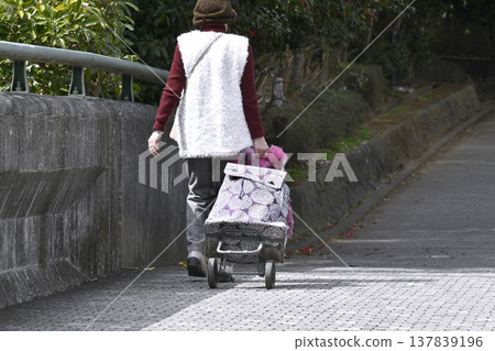 在日本橫濱，城市景觀徐徐展開，人們戴著口罩，但口罩到處都有縫隙……一位推著購物車的老婦人步履蹣跚，購物車在台階和縫隙間劇烈搖晃。 137839196