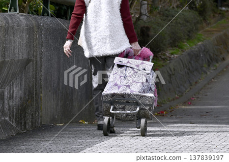 In Yokohama, Japan, a cityscape unfolds with people wearing masks with gaps everywhere... An elderly woman with a shopping cart struggles to walk as the cart rattles violently over steps and gaps. 137839197