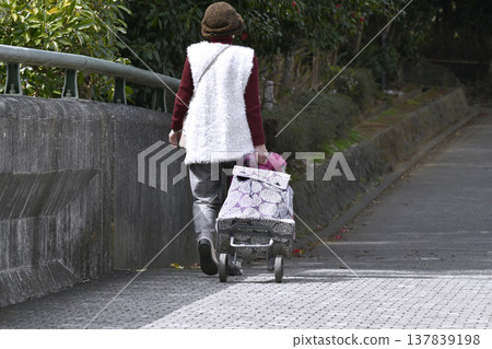 在日本橫濱，城市景觀徐徐展開，人們戴著口罩，但口罩到處都有縫隙……一位推著購物車的老婦人步履蹣跚，購物車在台階和縫隙間劇烈搖晃。 137839198