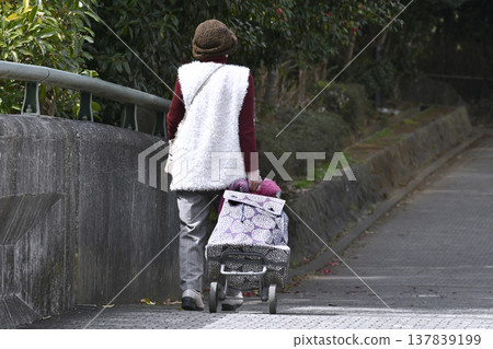 在日本橫濱，城市景觀徐徐展開，人們戴著口罩，但口罩到處都有縫隙……一位推著購物車的老婦人步履蹣跚，購物車在台階和縫隙間劇烈搖晃。 137839199