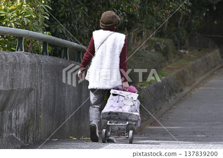 在日本橫濱，城市景觀徐徐展開，人們戴著口罩，但口罩到處都有縫隙……一位推著購物車的老婦人步履蹣跚，購物車在台階和縫隙間劇烈搖晃。 137839200