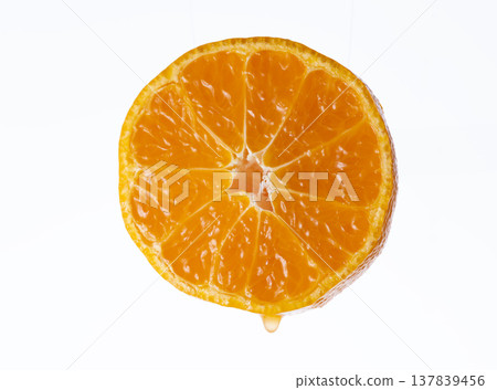 Fujikura mandarins, bursting with juicy goodness Fujikura mandarins, bursting with juicy goodness 137839456