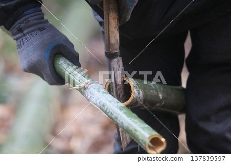 劈竹子的男人 137839597