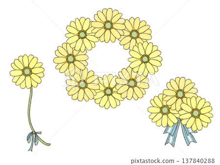黃色非洲菊插圖 黃色非洲菊插圖 137840288