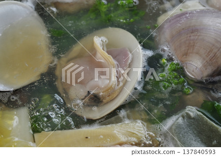 蛤蜊火鍋 137840593