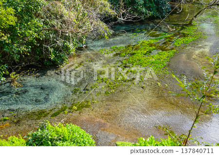 Kakitagawa Springs, Mishima, Shizuoka Prefecture 137840711