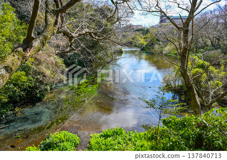 靜岡縣三島市柿田川溫泉 137840713