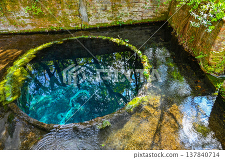 靜岡縣三島市柿田川溫泉 靜岡縣三島市柿田川溫泉 137840714