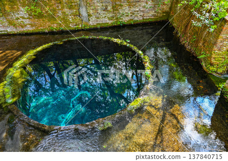 靜岡縣三島市柿田川溫泉 137840715