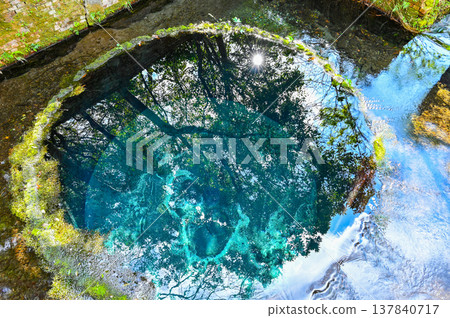 Kakitagawa Springs, Mishima, Shizuoka Prefecture Kakitagawa Springs, Mishima, Shizuoka Prefecture 137840717