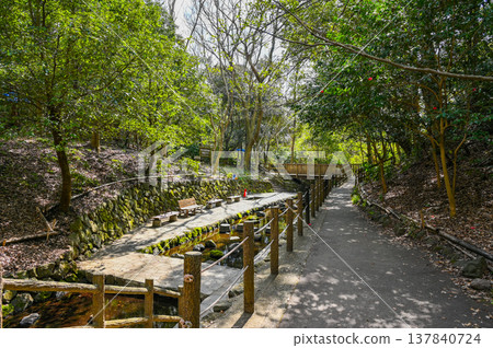 靜岡縣三島市柿田川溫泉 靜岡縣三島市柿田川溫泉 137840724