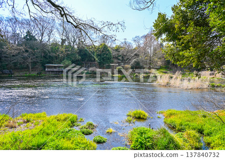 Kakitagawa Springs, Mishima, Shizuoka Prefecture Kakitagawa Springs, Mishima, Shizuoka Prefecture 137840732