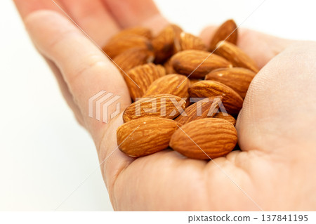 Almond on the palm of your hand Almond on the palm of your hand 137841195