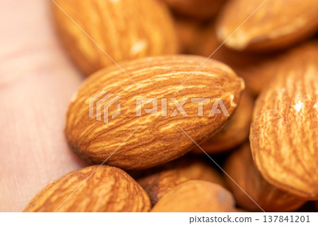 lots of almonds lots of almonds 137841201