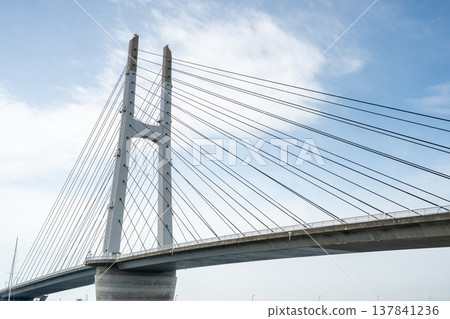 Tajiri Sky Bridge on a sunny day 137841236