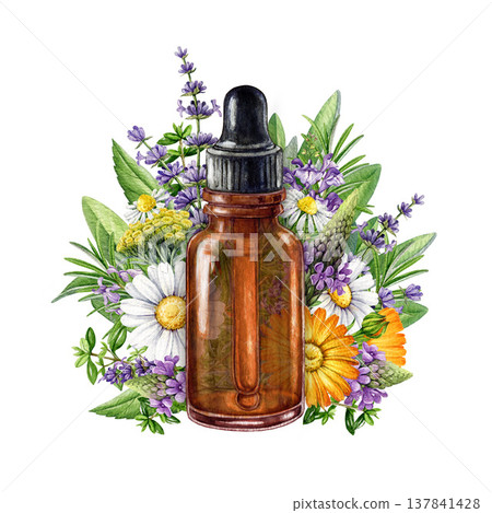 Amber glass dropper bottle with chamomile, lavender, sage, calendula and verbena herbs. Hand drawn botanical illustration for aromatherapy, herbal medicine, essential oils, natural cosmetics Amber glass dropper bottle with chamomile, lavender, sage, calendula and verbena herbs. Hand drawn botanical illustration for aromatherapy, herbal medicine, essential oils, natural cosmetics 137841428