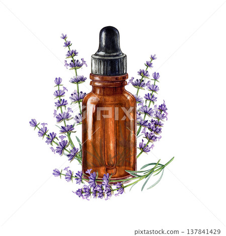 Amber dropper bottle with lavender herb flowers isolated on white background. Hand drawn botanical watercolor illustration for aromatherapy, essential oils, herbal medicine, natural cosmetics 137841429