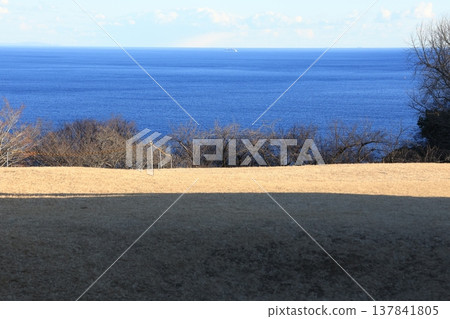 神奈川縣擁有東山公園山坡上的草地和大海。 神奈川縣擁有東山公園山坡上的草地和大海。 137841805