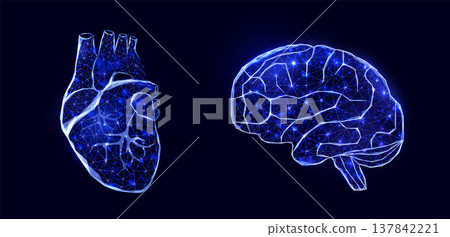 Human heart and brain. Wireframe low poly style. Abstract modern 3d vector illustration on dark blue background. Human heart and brain. Wireframe low poly style. Abstract modern 3d vector illustration on dark blue background. 137842221