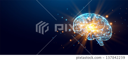 Human brain. Wireframe low poly style. Concept for medical, brain cancer, neural network. Abstract modern 3d vector illustration on dark blue background. Human brain. Wireframe low poly style. Concept for medical, brain cancer, neural network. Abstract modern 3d vector illustration on dark blue background. 137842239