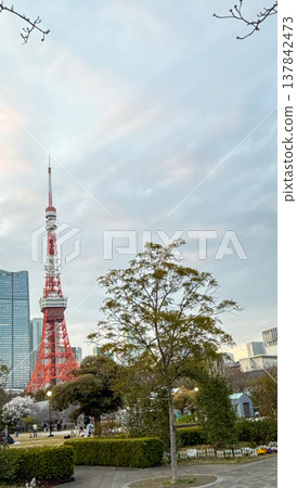 Shiba Park and the city skyline at dusk, with Tokyo Tower and Zojoji Temple in the background. 137842473