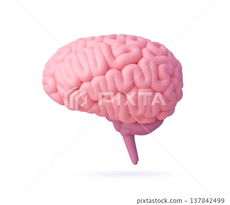 3D human brain model for anatomy medicine or science of body organs, vector realistic icon. Human brain plasticine mockup 3D object for medical education or mental health in psychology and neurology 137842499
