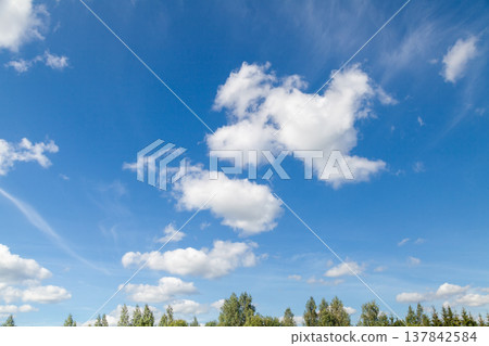 White Cumulus Clouds on Blue Summer Sky 137842584
