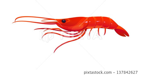 Cartoon shrimp, food vector nature animal. Vibrant shrimp captures the appeal of fresh, delicious crustacean for seafood menu, restaurant and sushi branding or seafood packaging 137842627