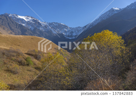 Autumn Mountains Landscape with Golden Trees and Snowy Peaks in Kazbegi with copy space 137842883