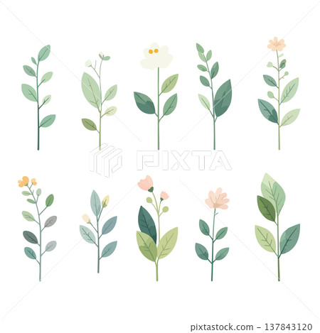 Collection of grass and flowers: Hand-drawn style vector illustrations of grass and flowers 137843120