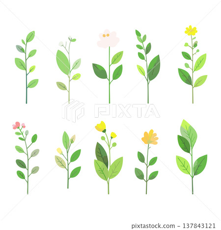 草和花的集合：手繪風格的草和花向量插圖 137843121