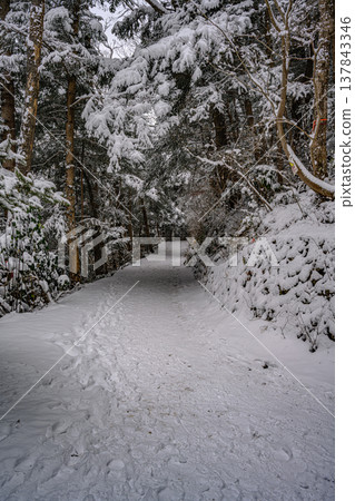 雪（高尾山富士步道） 137843346