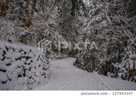 雪(高尾山富士步道) 雪(高尾山富士步道) 137843347