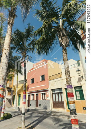 Colorful Street with Palms and Yarn Bombing in Puerto de la Cruz Tenerife with copy space 137843932