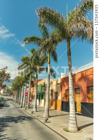 Vibrant Colorful Houses and Palms in Puerto de la Cruz Tenerife with copy space Vibrant Colorful Houses and Palms in Puerto de la Cruz Tenerife with copy space 137843935