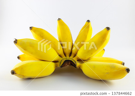 Thai bananas on a beautiful yellow white isolated background ready to eat Thai bananas on a beautiful yellow white isolated background ready to eat 137844662