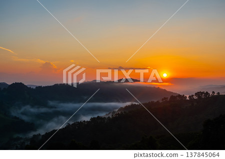 Sunrise in mountain at Doi Mae Salong Mae Fah Luang, Chiang Rai Thailand. Panorama landscape. 137845064