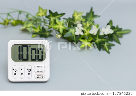 設定為 10 分鐘的廚房計時器和室內植物的圖片。 設定為 10 分鐘的廚房計時器和室內植物的圖片。 137845223