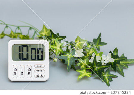 A kitchen timer set to 10 minutes and a stock photo of a houseplant. 137845224