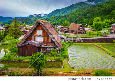 Traditional and Historical Japanese village Shirakawago in Gifu Prefecture Japan, Gokayama has been inscribed on the UNESCO World Heritage List due to its traditional Gassho-zukuri houses 137845336