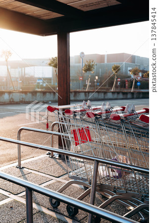 Shopping carts lined up in a quiet area during early morning light at a store 137845414