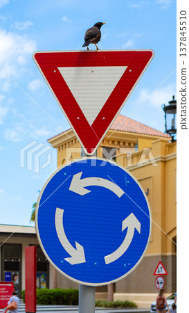Bird sits on traffic sign in a busy area during daylight 137845510